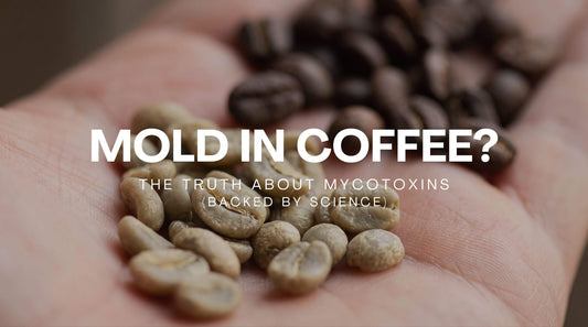 Mold inf Coffee. The Truth of Mycotoxins